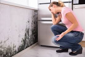 Best Residential Mold Inspection & Testing  in Glenwood, GA